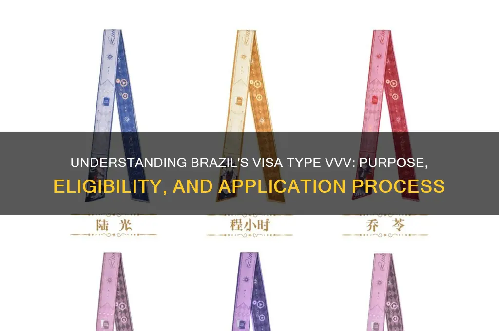 what is visa type vvv for brazil
