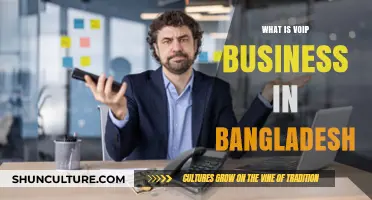 Understanding VoIP Business in Bangladesh: Opportunities and Challenges