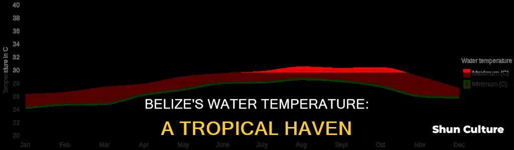 what is water temperature in belize
