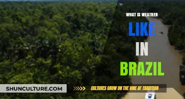 Exploring Brazil's Diverse Climate: Weather Patterns Across the Country