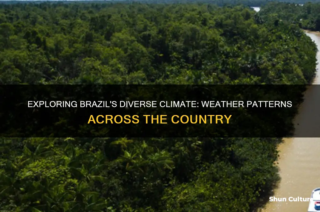 what is weather like in brazil