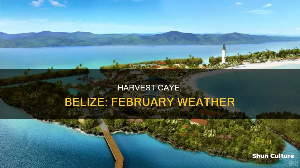 what is weather like in harvest caye belize in February