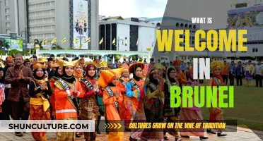 Brunei's Welcoming Traditions: A Cultural Guide