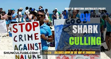 Western Australia's Shark Culling Policy Explained