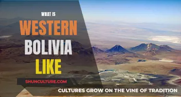 Exploring Western Bolivia: A Vibrant and Diverse Region