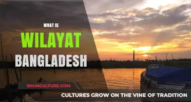 Understanding Wilayat Bangladesh: Origins, Significance, and Role in Governance