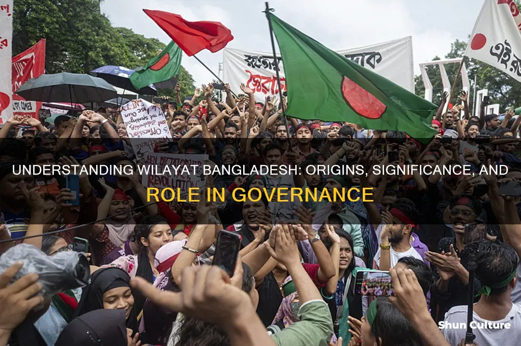 what is wilayat bangladesh