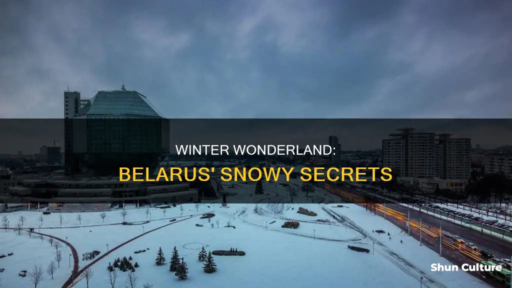 what is winter like in belarus