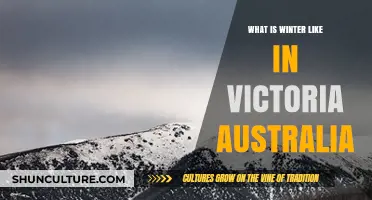 Exploring Victoria's Winter: Weather, Activities, and Seasonal Charm in Australia