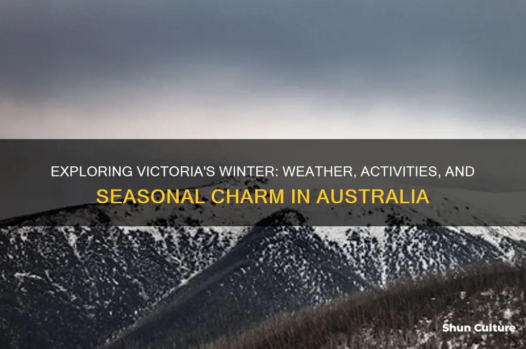 what is winter like in victoria australia