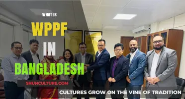 Understanding WPPF in Bangladesh: Role, Impact, and Significance Explained