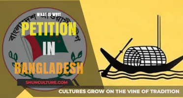Understanding Writ Petitions in Bangladesh: Legal Framework and Application