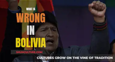 Bolivia's Troubles: A Country in Turmoil