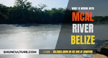 Belize's Polluted Macal River