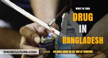 Understanding Yaba: Bangladesh's Growing Drug Crisis and Its Impact