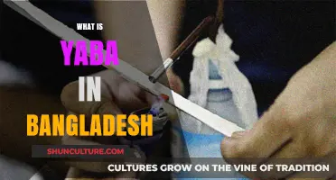 Understanding Yaba: Bangladesh's Growing Drug Crisis and Its Impact