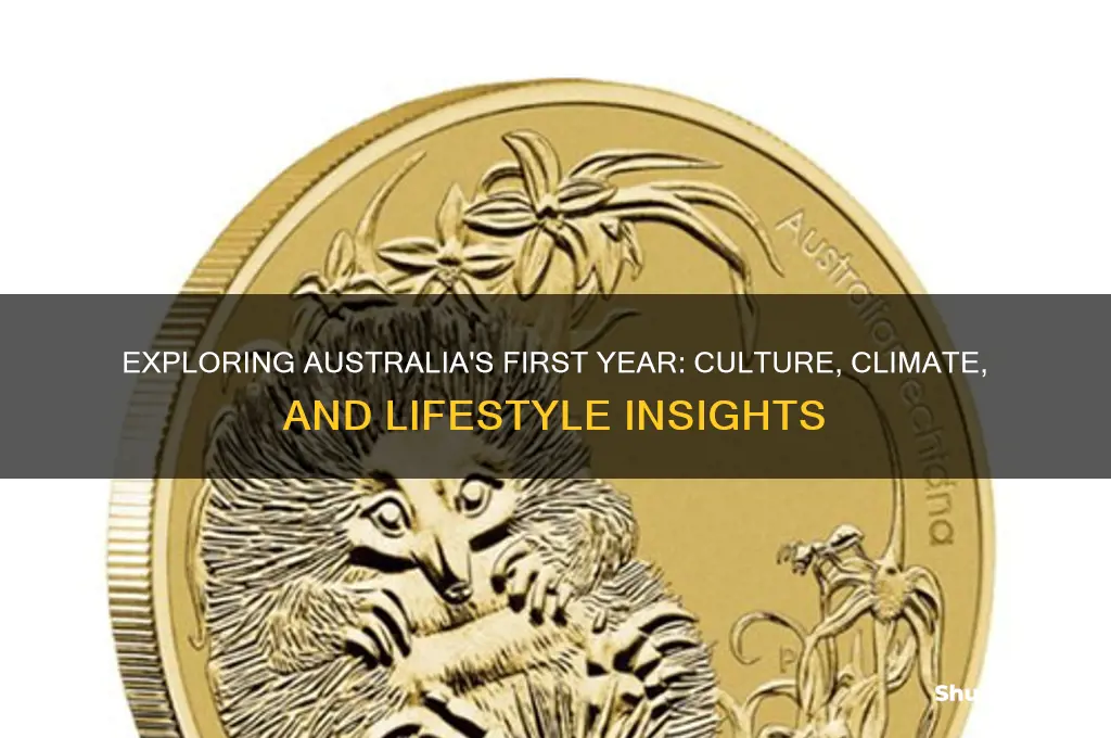 what is year 1 in australia