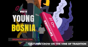 Unveiling Young Bosnia: A Historical Movement and Its Legacy