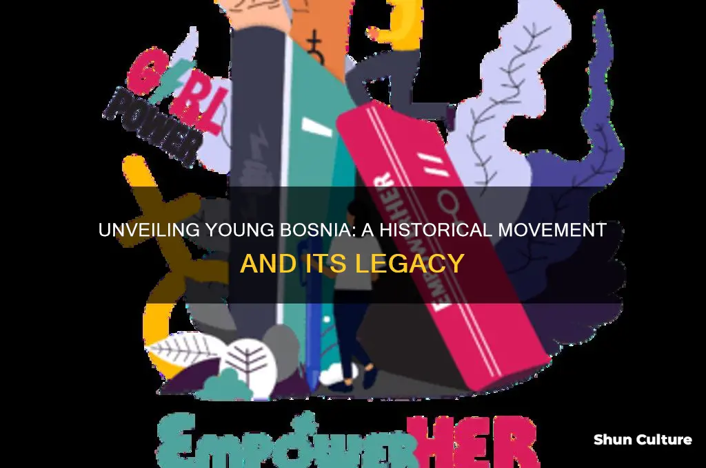 what is young bosnia