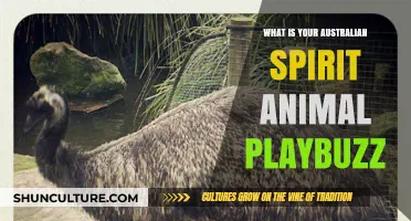 Discover Your Australian Spirit Animal Companion