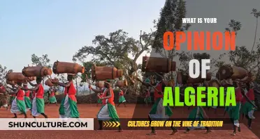 Algeria's Rich Culture, History, and Future: My Personal Perspective