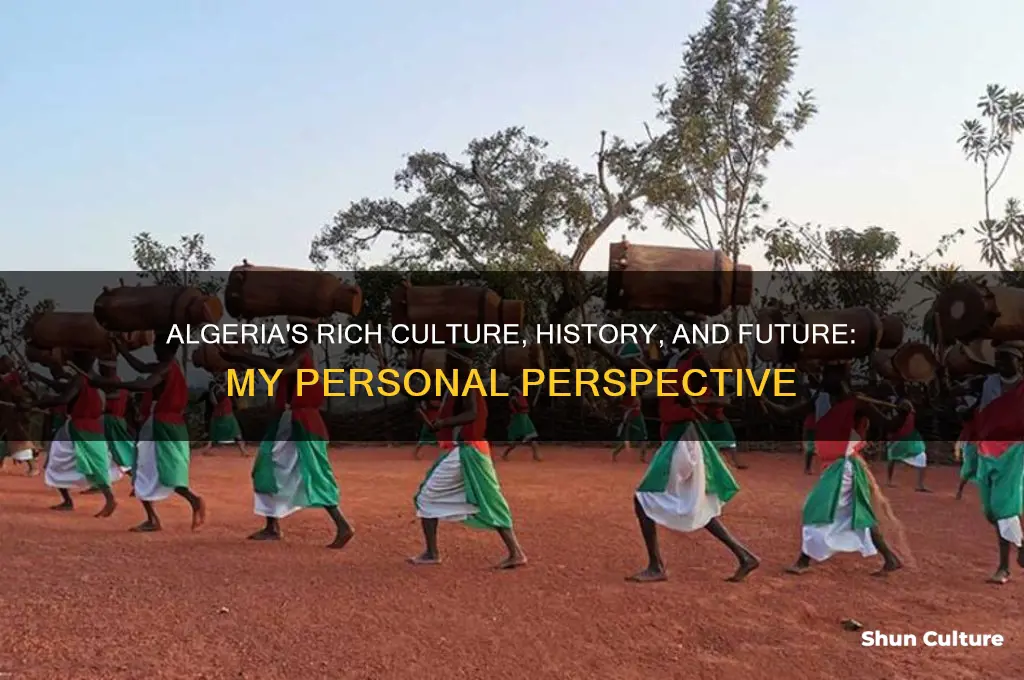 what is your opinion of algeria