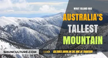 Exploring Australia's Tallest Mountain: Island Adventure