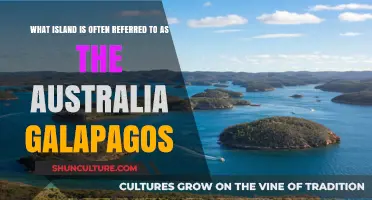 Exploring Australia's Galapagos: Tasmania's Unique Wildlife