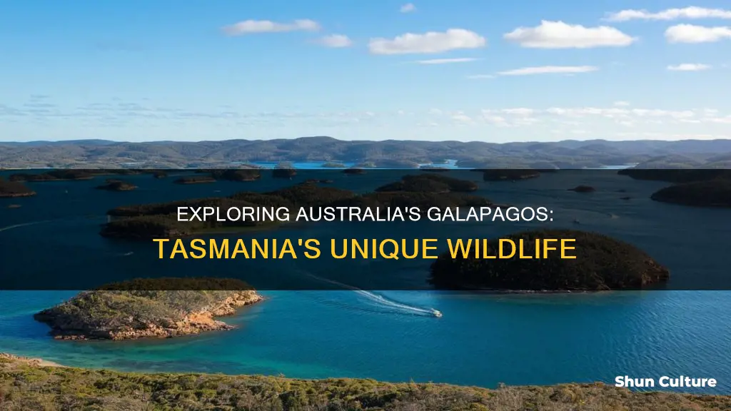 what island is often referred to as the australia galapagos