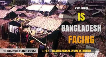 Bangladesh's Struggles: Poverty, Climate Change, and Political Challenges Explored