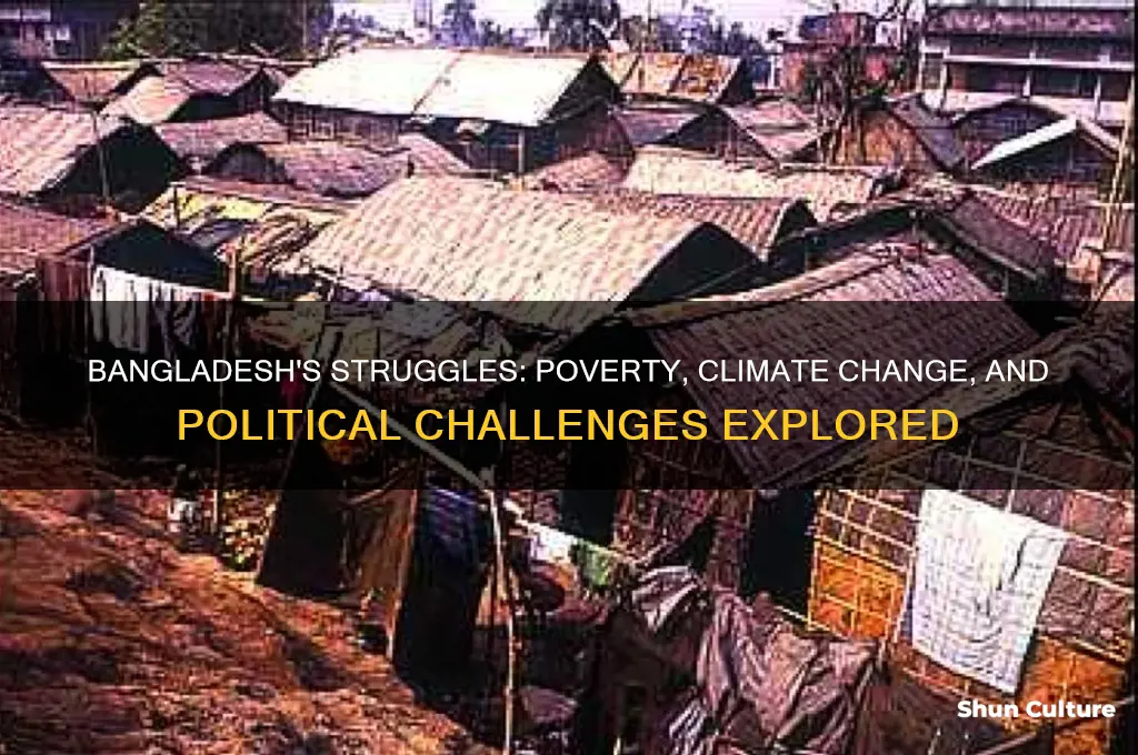 what issues is bangladesh facing