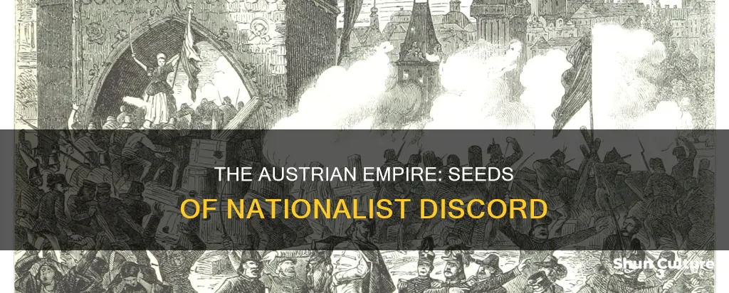 what issues throughout the austrian dual monarchy led to nationalism