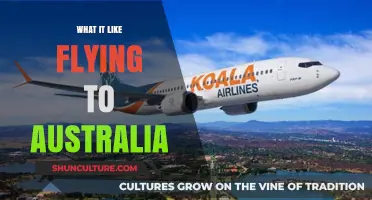 Exploring the Skies: A Passenger's Journey to Australia's Shores