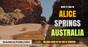 Exploring Alice Springs: Life, Culture, and Adventure in Australia's Outback