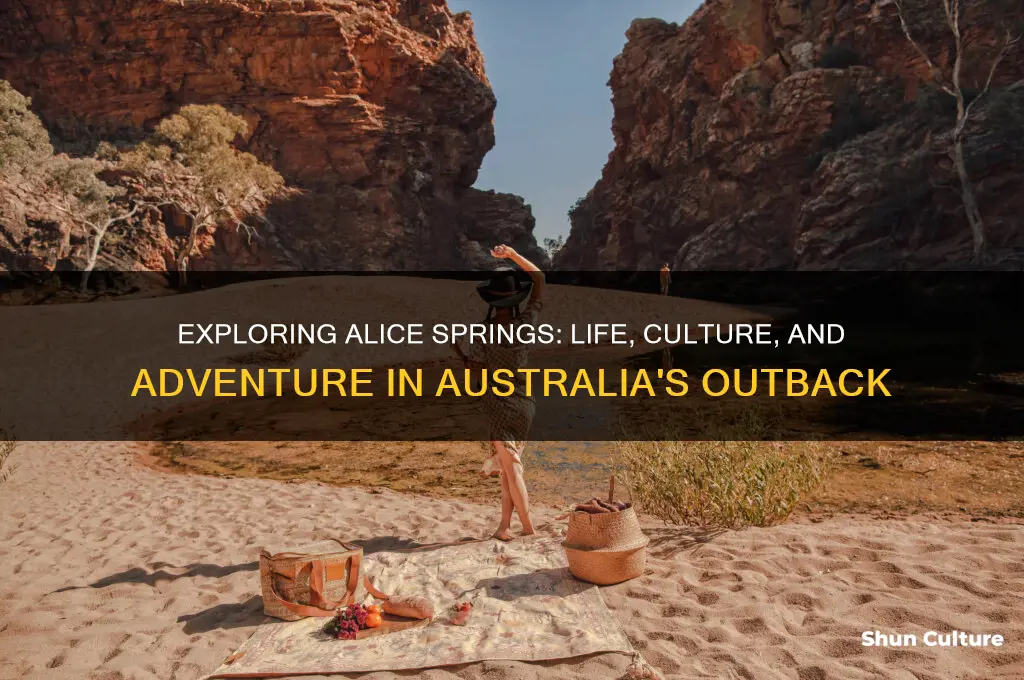 what it like in alice springs australia