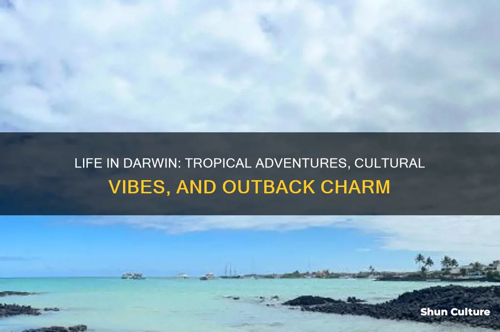 what it like living in darwin australia