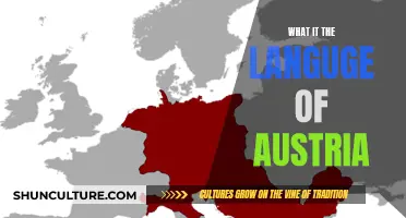 Exploring Austria's Official Language: German, But With a Twist!