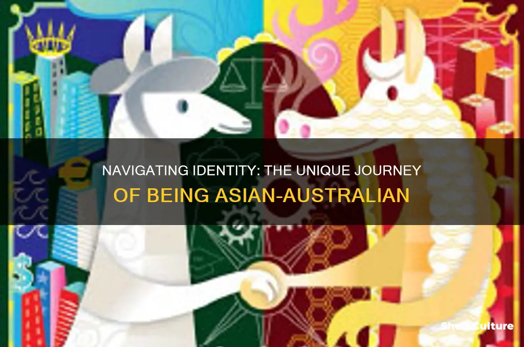 what its like being an asian australian