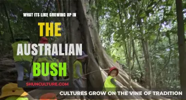 Bush Childhood: Adventures, Challenges, and Beauty of Australian Outback Life