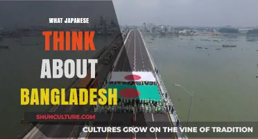 Japanese Perspectives on Bangladesh: Cultural Insights and Mutual Understanding