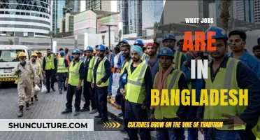 Exploring Diverse Career Opportunities in Bangladesh's Growing Job Market
