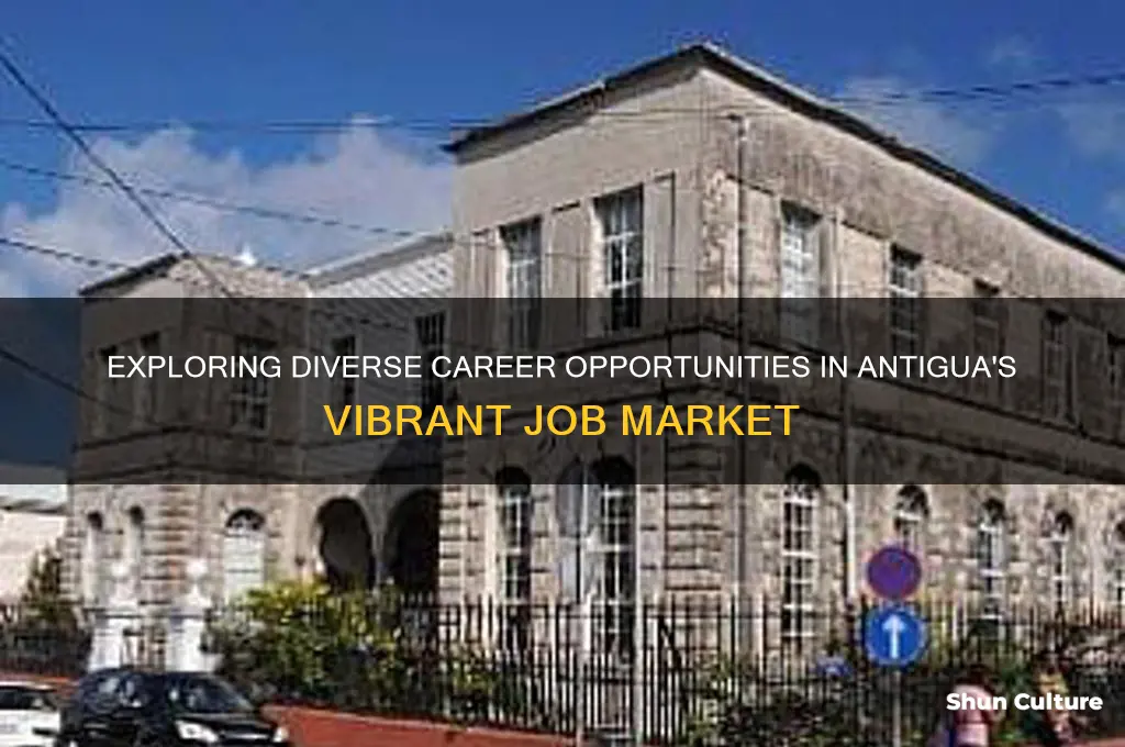 what jobs can you have in antigua