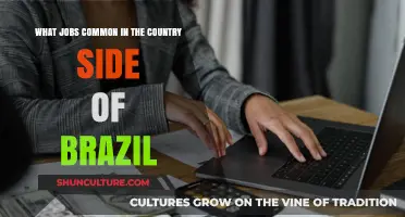 Exploring Rural Brazil: Common Jobs Shaping Countryside Livelihoods