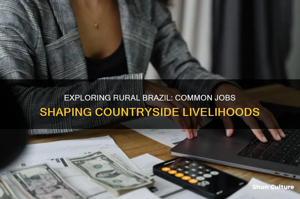 what jobs common in the country side of brazil