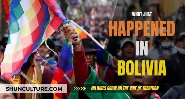 Bolivia's Political Turmoil: What's Next?