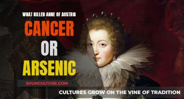 The Poisoned Princess: Unraveling Anne of Austria's Mysterious Death