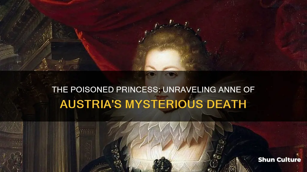 what killed anne of austria cancer or arsenic