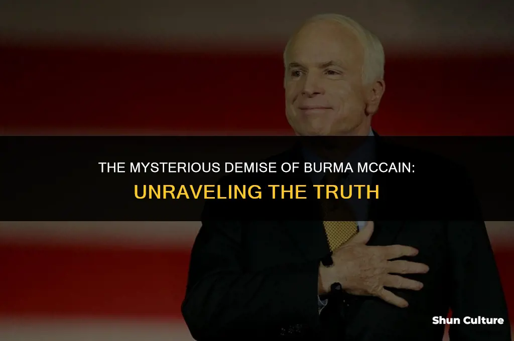 what killed burma mccain