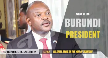 Unraveling the Mystery: What Led to the Burundi President's Demise?