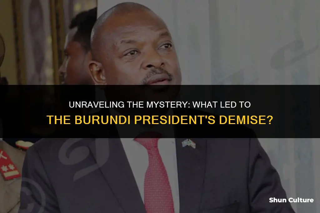 what killed burundi president
